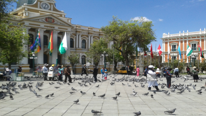 teleSUR recorre Bolivia para conocer el contexto en el que se desarrollan las elecciones. (Foto: teleSUR)