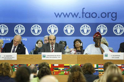 FAO instalará en Roma II Conferencia Internacional sobre Nutrición. (Fuente: Archivo)