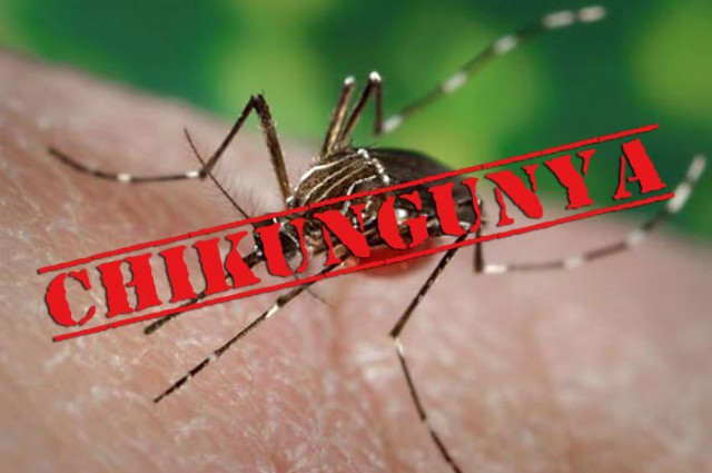 Van dos casos de la fiebre del Chikungunya en Jamaica. (Foto: Archivo)