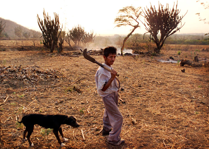 El fenómeno de la sequía afecta a 2.5 millones de personas (Archivo)