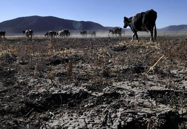 La sequía afectaría a la mayoría de los departamentos de Colombia. (Foto: EFE)