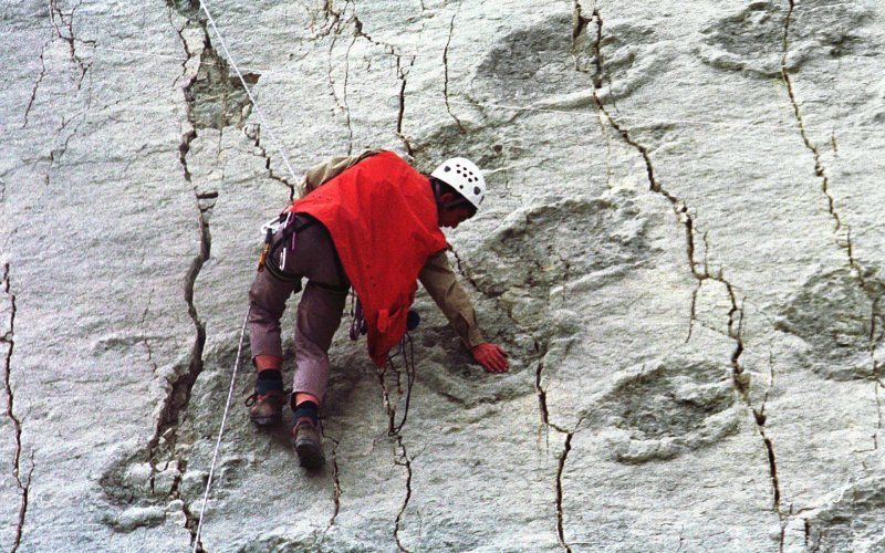 Bolivia's Record-Breaking Dinosaur Footprint Discovery | News | teleSUR  English