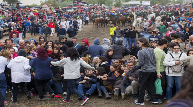 El toro "Rompesuelas", pesaba 640 kilos de peso, tenía casi seis años de edad y fue el protagosnista de este festival, en el que fue asesinado.