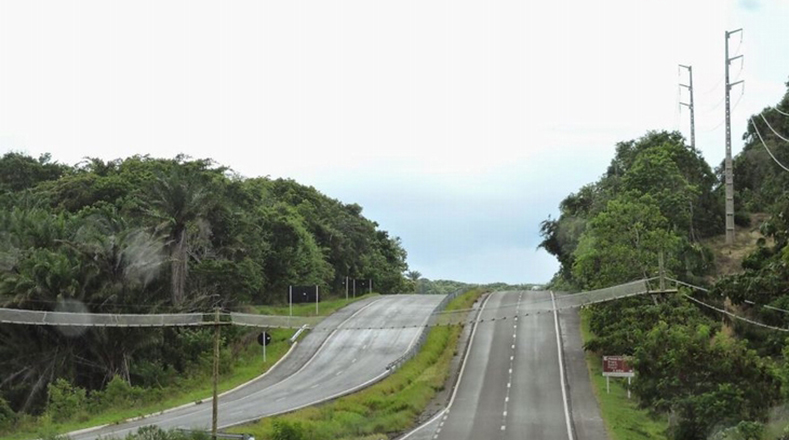 Puente para Monos en Bahia, Brasil.