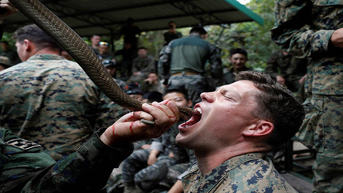 Las tácticas de supervivencia se basaban en ingerir sangre de cobra y otros animales.