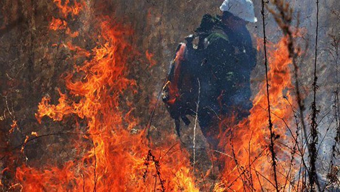 Desde que inició la temporada de incendios en este año, las autoridades han reportado unos 80 casos y  7.253 hectáreas quemadas.