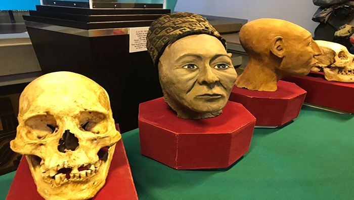 Rostros de habitantes de América Latina son expuestos en el Museo Nacional de Arqueología en La Paz.