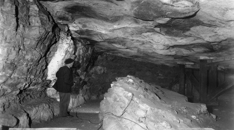 Bisontes, caballos, ciervos, manos y misteriosos signos fueron pintados o grabados durante los milenios en los que la cueva de Altamira estuvo habitada.