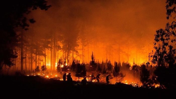 Las zonas de Araucanía, Aysén y el Bío Bío han resultado ser las más afectadas por la ola de fuego.
