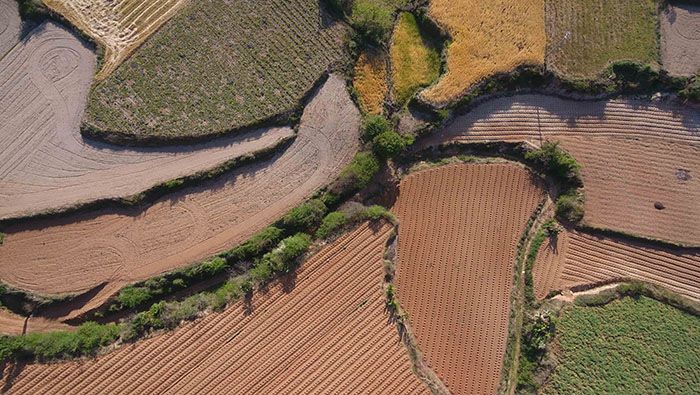 Las autoridades han señalado que la sequía en Yunnan ha afectado millones de hectáreas de cultivos.