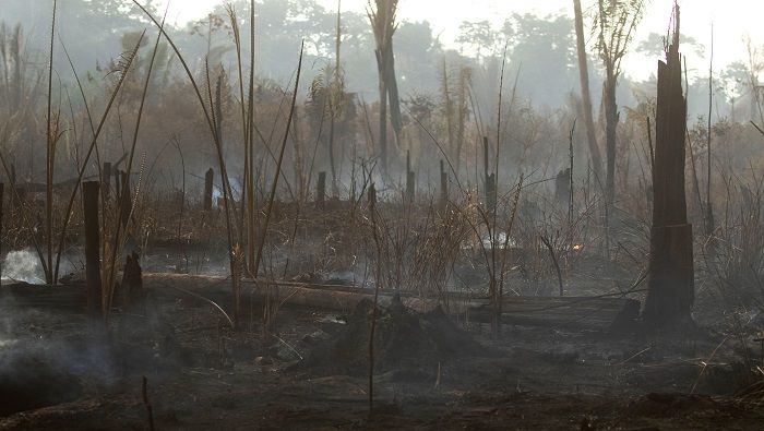 Fidel y el incendio en la Amazonía