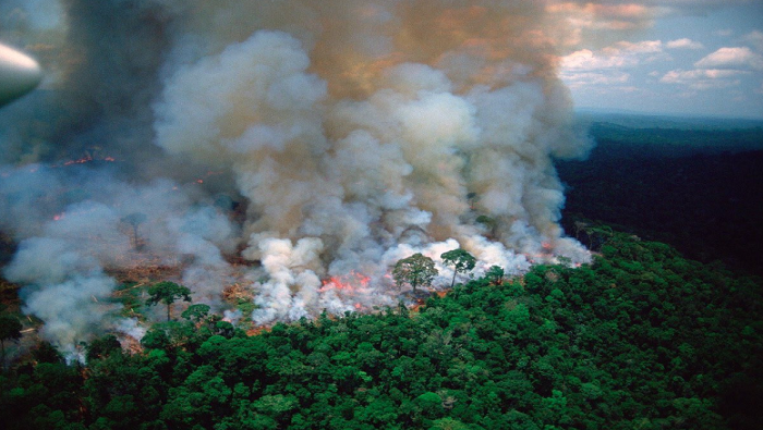 En 2019 la deforestación en la Amazonía brasileña podría llegar a los 10.000 kilómetros cuadrados por primera vez desde 2008.