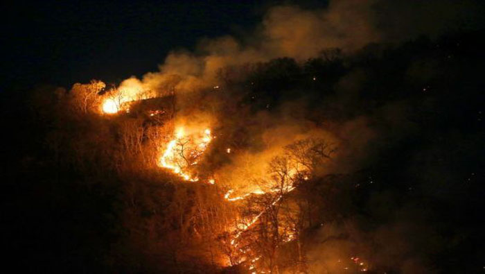 En agosto de 2019 se registraron varios incendios en la región de Tocantins de la Amazonía brasileña.