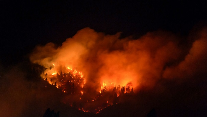 Los incendios forestales en la Región de La Araucanía chilena han consumido una superficie de 300 hectáreas.