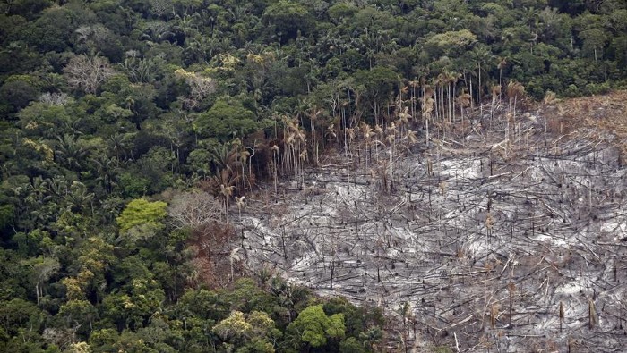 La Amazonía colombiana es víctima de incursiones criminales que provocan su deforestación.