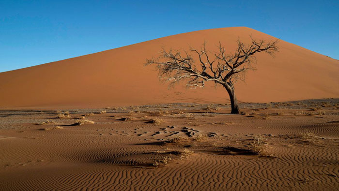 El desierto del Namib, ubicado en Namibia, es el único desierto costero del mundo. Está compuesto de dunas y formaciones fósiles transportadas por el viento durante siglos, y fue decretado como Patrimonio de la Humanidad de la Unesco en el año 2013. 