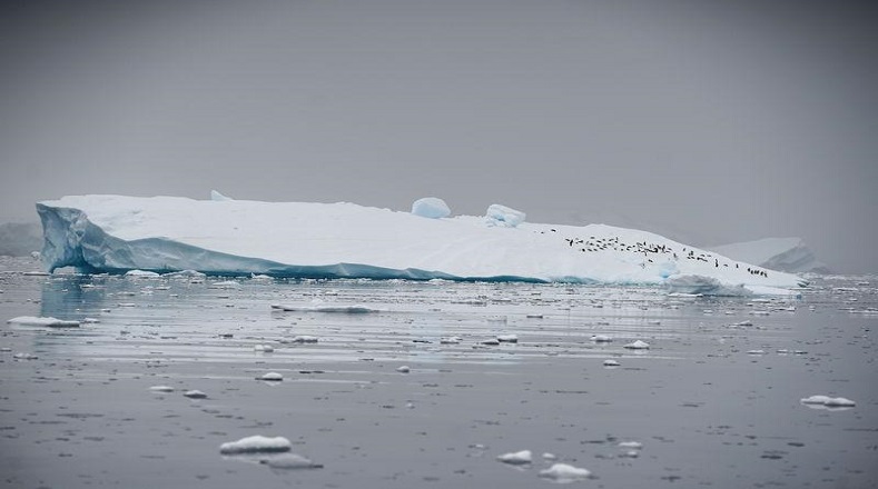 A partir de 2014 el deshielo comenzó a hacerse más notable y preocupante. Luego de 30 años en que la Antártida no sufrió graves procesos de descongelación, desde ese año se hicieron más frecuentes.
