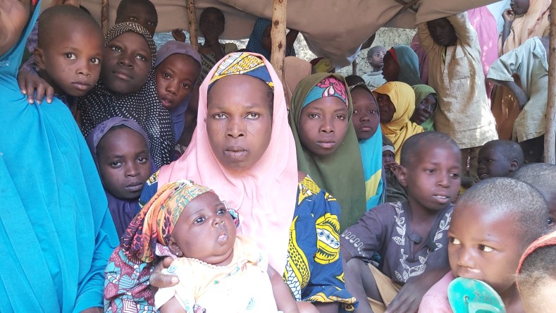 Níger está sometido a la acción de grupos terroristas los cuales han provocado el desplazamiento de miles de personas, según la ACNUR.