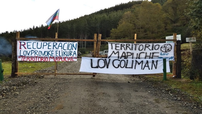 Los argumentos del Gobierno chileno han legitimado la represión en territorio mapuche por las fuerzas militares.