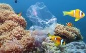Un informe del Pnuma advierte que el plástico representa el 85 por ciento de los residuos que llegan a los océanos, pero para 2040 estos volúmenes se triplicarán, “con una cantidad anual de entre 23 y 37 millones de toneladas”.