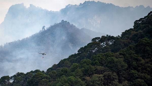 Se reportan hasta el momento nueve Áreas Naturales Protegidas (ANP) en conflagración.