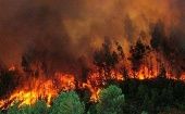 Solo en los 19 días que han transcurrido durante el mes de mayo al menos 965 incendios forestales han sido detectados.