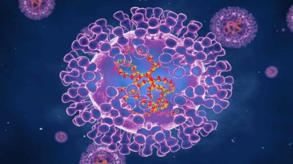 Aunque no existe una vacuna contra la viruela símica, la OMS descarta una posible pandemia. 