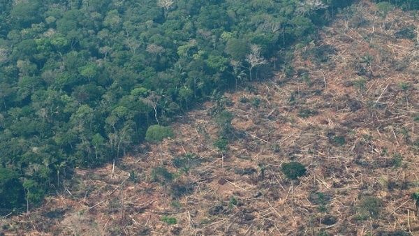 Deforestación en Amazonía brasileña registra nuevo récord en primer semestre del año