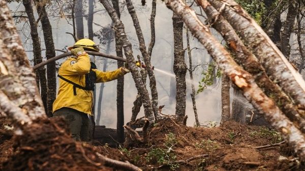 Incendio forestal deja 8.000 hectáreas afectadas en Argentina