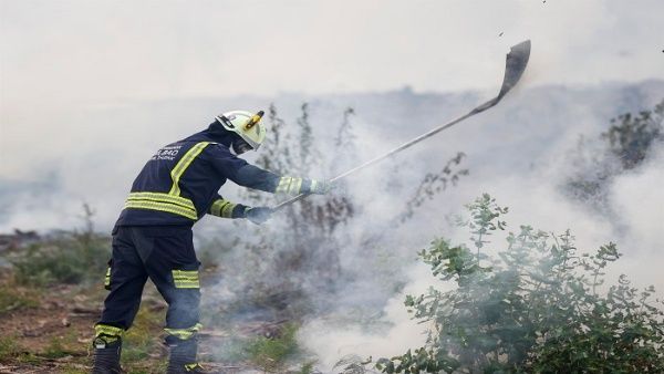 Combaten 12 incendios forestales en Valparaíso y Maule, Chile