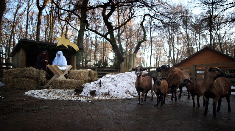 Por su parte, el Zoológico de Cracovia, en el sur de Polonia, exhibió un pesebre con animales vivos y personas, destacándose por la originalidad y la recreación del nacimiento de Jesucristo.