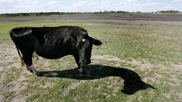 Sequía afecta abastecimiento de agua en varias ciudades de Uruguay