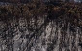 El Ministerio del Interior confirmó más de 400.000 hectáreas de superficie consumidas por las llamas.