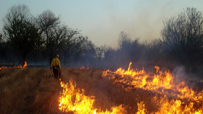 Según el Sinac, 26 del total de incendios reportados se han registrado dentro de áreas protegidas. 