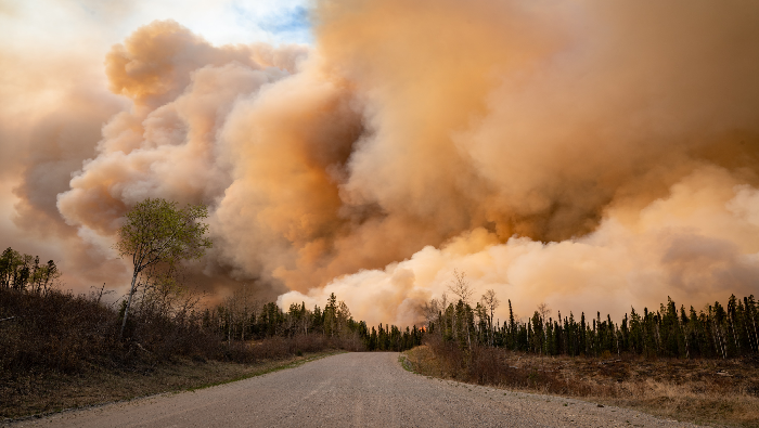 Ante la intensidad de los incendios, ha sido necesaria la colaboración de bomberos forestales de otras provincias de Canadá y de Estados Unidos.