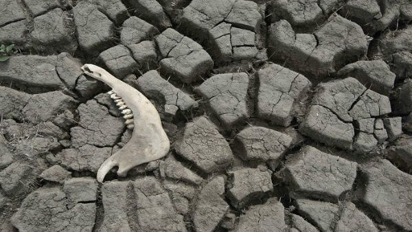 Uruguay atraviesa sequía meteorológica sin precedentes