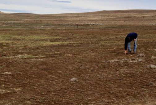 Declaran estado de emergencia en distritos peruanos por El Niño