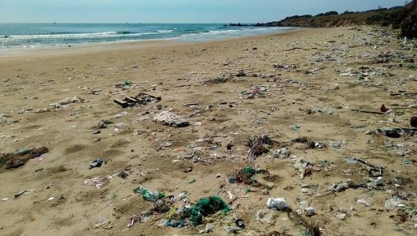 Anualmente, más de 280 millones de toneladas de productos plásticos de vida corta terminan en la basura y puede tardar cientos de años para descomponerse.