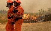 Hasta el momento, se han reportado más de 20 muertos por el incendio en el departamento de Evros, donde está el parque natural de Dadia (noreste).