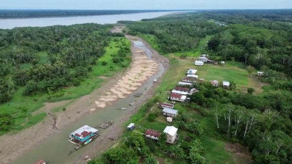 Decretan emergencia en estado de Amazonas, Brasil, por sequía