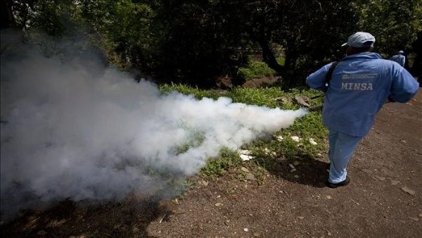 Instan en Costa Rica a ampliar prevención ante repunte de dengue