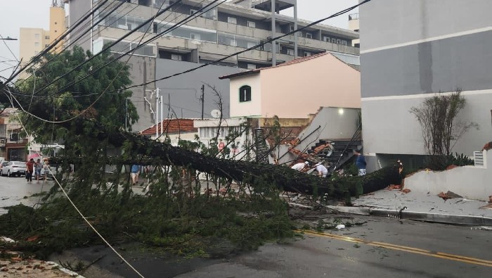 El temporal derribó centenas de árboles en varias regiones de Sao Paulo, el estado más poblado de Brasil, así como postes de transmisión de energía eléctrica, lo que dejó sin luz y otros servicios a millones de personas.