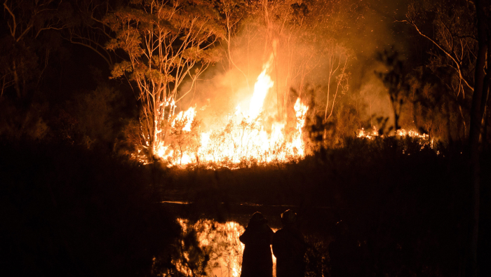 Los bomberos de Australia Meridional están centrados en la lucha contra varios incendios, especialmente en las localidades de Hamley Bridge, Lochiel y Melrose.
