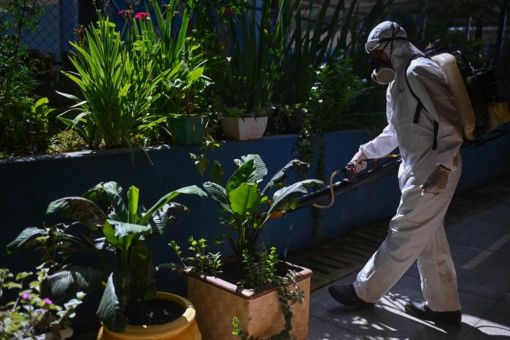 Brasil supera récord histórico de muertes por dengue en un año