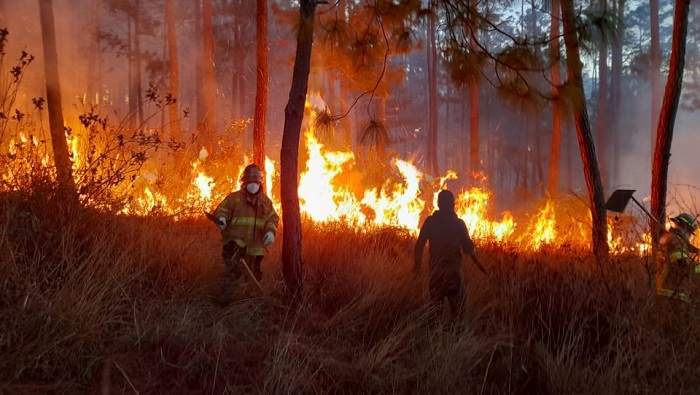 Tras los más de 40 incendios forestales activos en el territorio nacional, el Gobierno precisó que destina fondo de 110 millones de quetzales.
