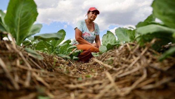 Lula reimpulsa proceso de reforma agraria brasileña