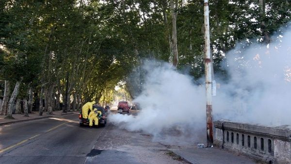 Uruguay supera los 800 casos de dengue tras nuevos contagios