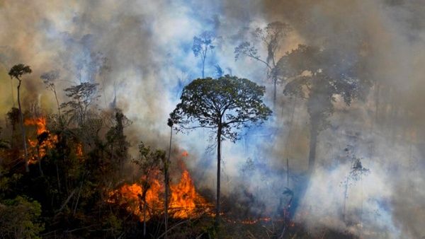 Brasil registra cifra récord de incendios forestales