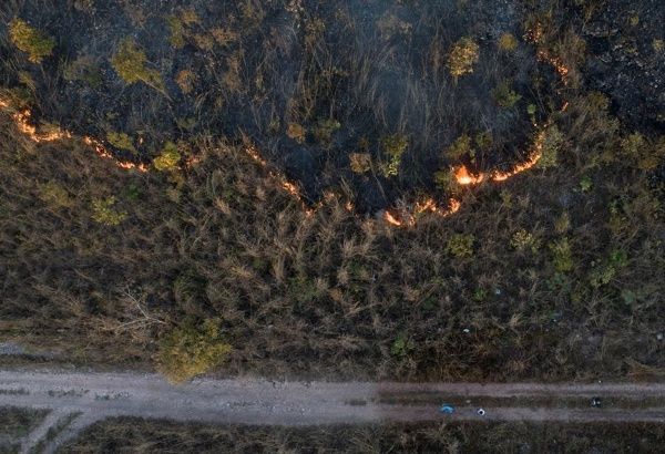 En lo que va de 2020, más de 7.700 incendios forestales han afectado Brasil. Fuente: EFE